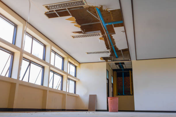 Best Mold removal after water damage  in Branford Center, CT
