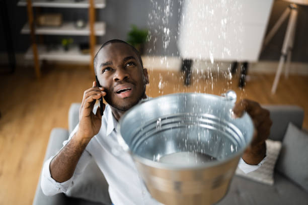 Best Water damage mitigation services  in Branford Center, CT