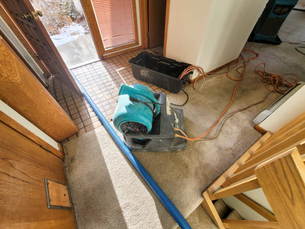 Best 24-hour water damage restoration  in Branford Center, CT