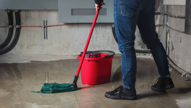 Best Water damage restoration near me  in Branford Center, CT