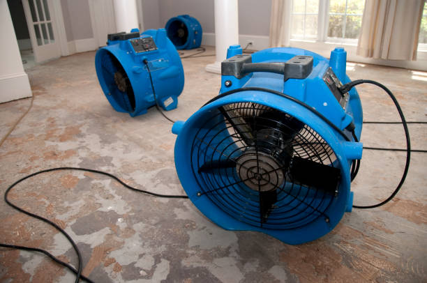 Best Carpet water damage restoration  in Branford Center, CT