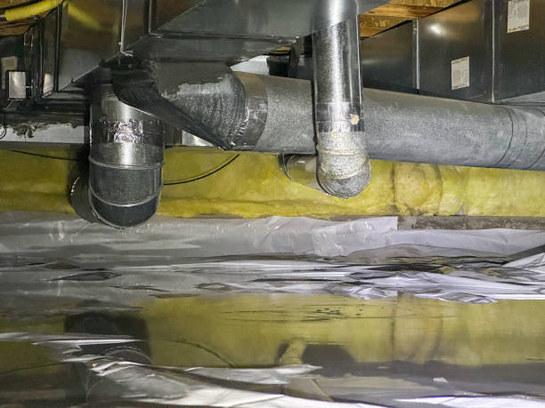 Best Flood damage cleanup  in Branford Center, CT