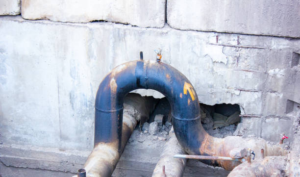  Branford Center, CT Water damage restoration Pros